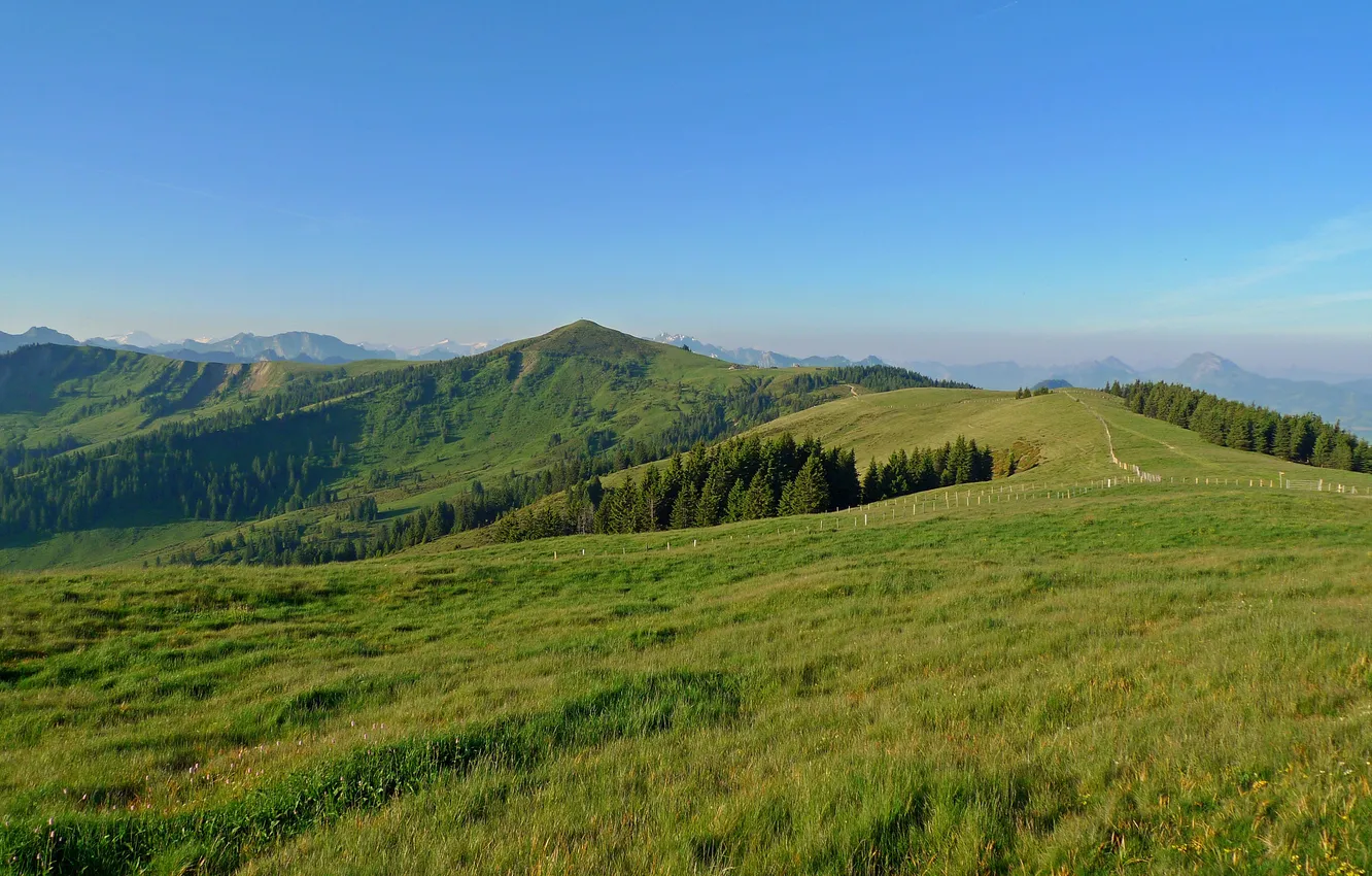 Photo wallpaper greens, the sky, grass, trees, mountains, blue, field, Switzerland