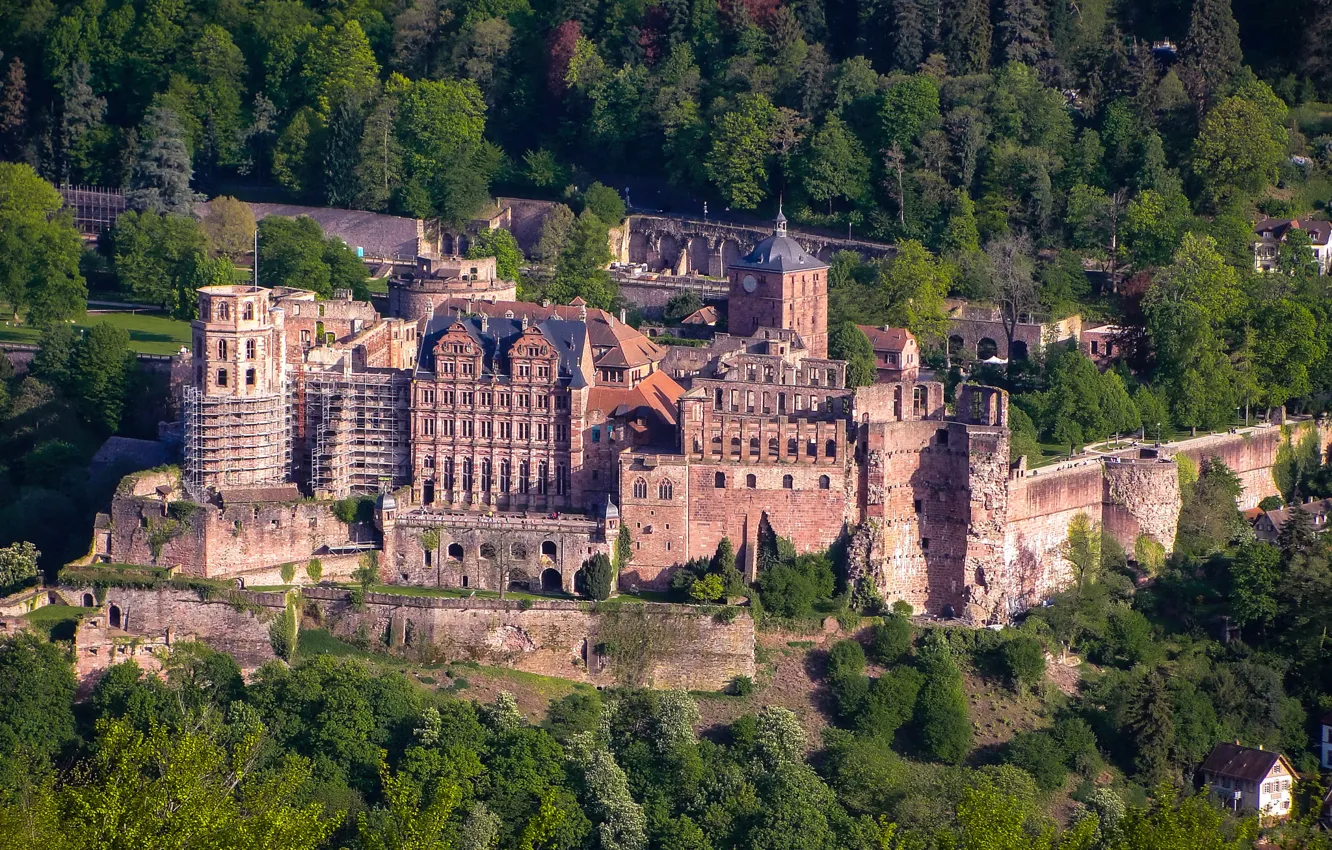 Photo wallpaper forest, trees, castle, Germany, the view from the top, Heidelberg Castle