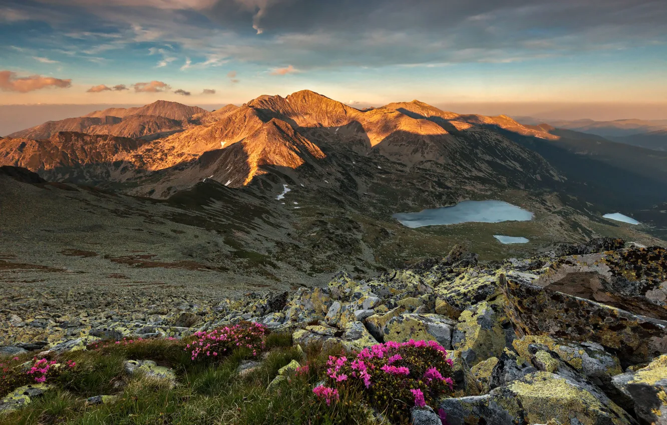 Photo wallpaper grass, sunset, flowers, mountains, lake, stones, Romania, rhododendrons