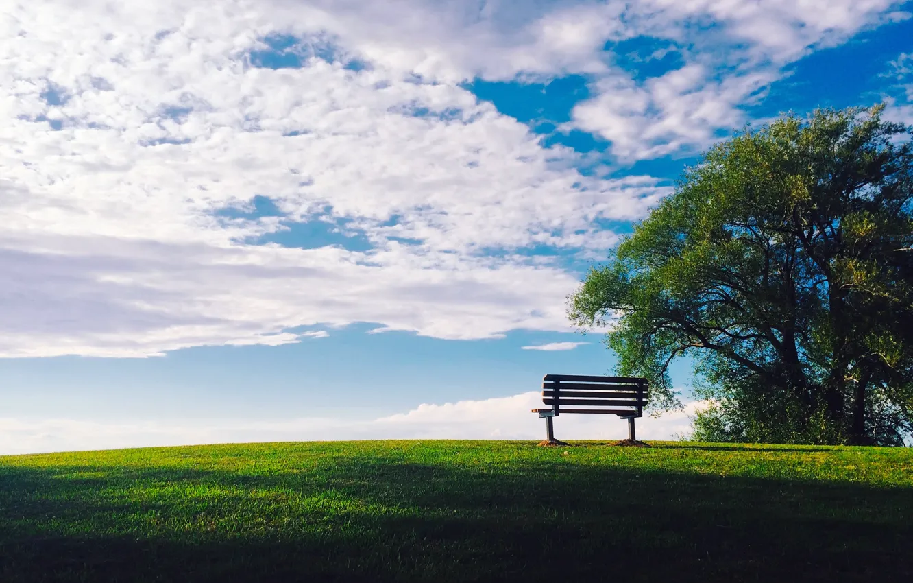 Photo wallpaper greens, summer, the sky, grass, the sun, clouds, trees, bench