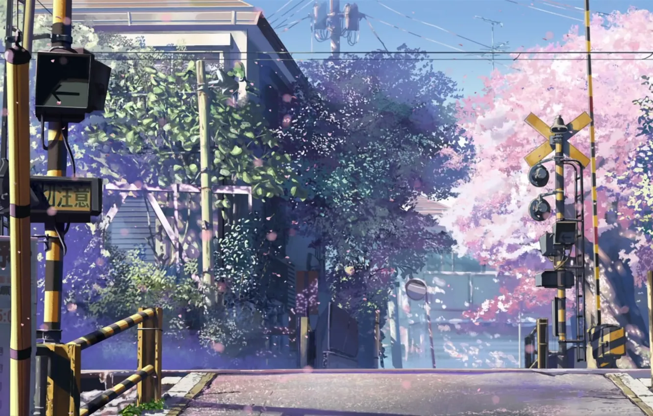 Photo wallpaper Sakura, signs, 5 centimeters per second, W/d to move, Makoto Xingkai