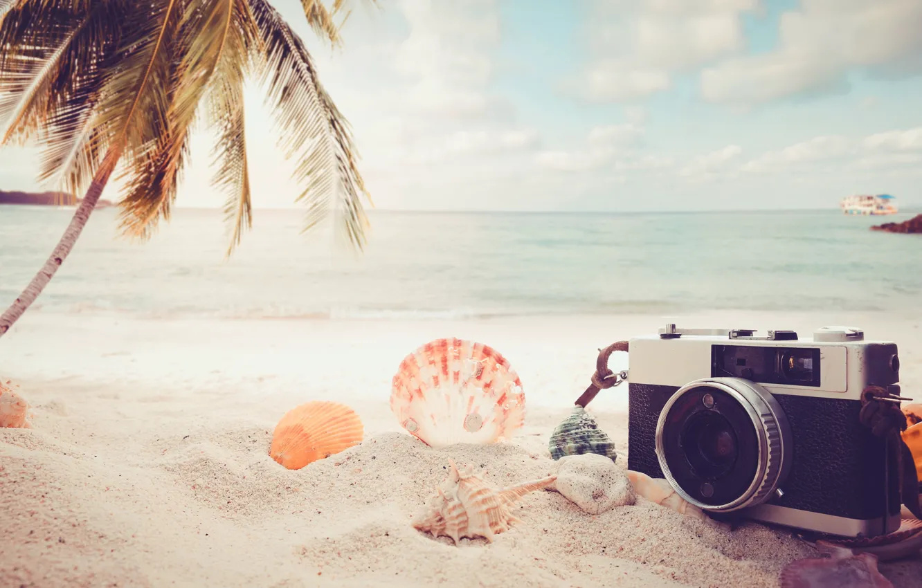 Photo wallpaper Sand, Sea, Beach, Palma, The camera, Shell