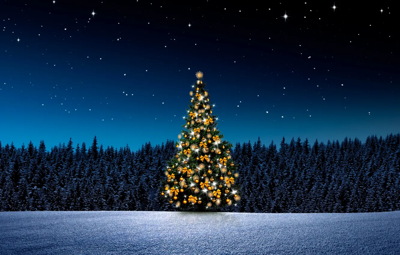 Photo wallpaper light, forest, sky, night, winter, snow, stars, window