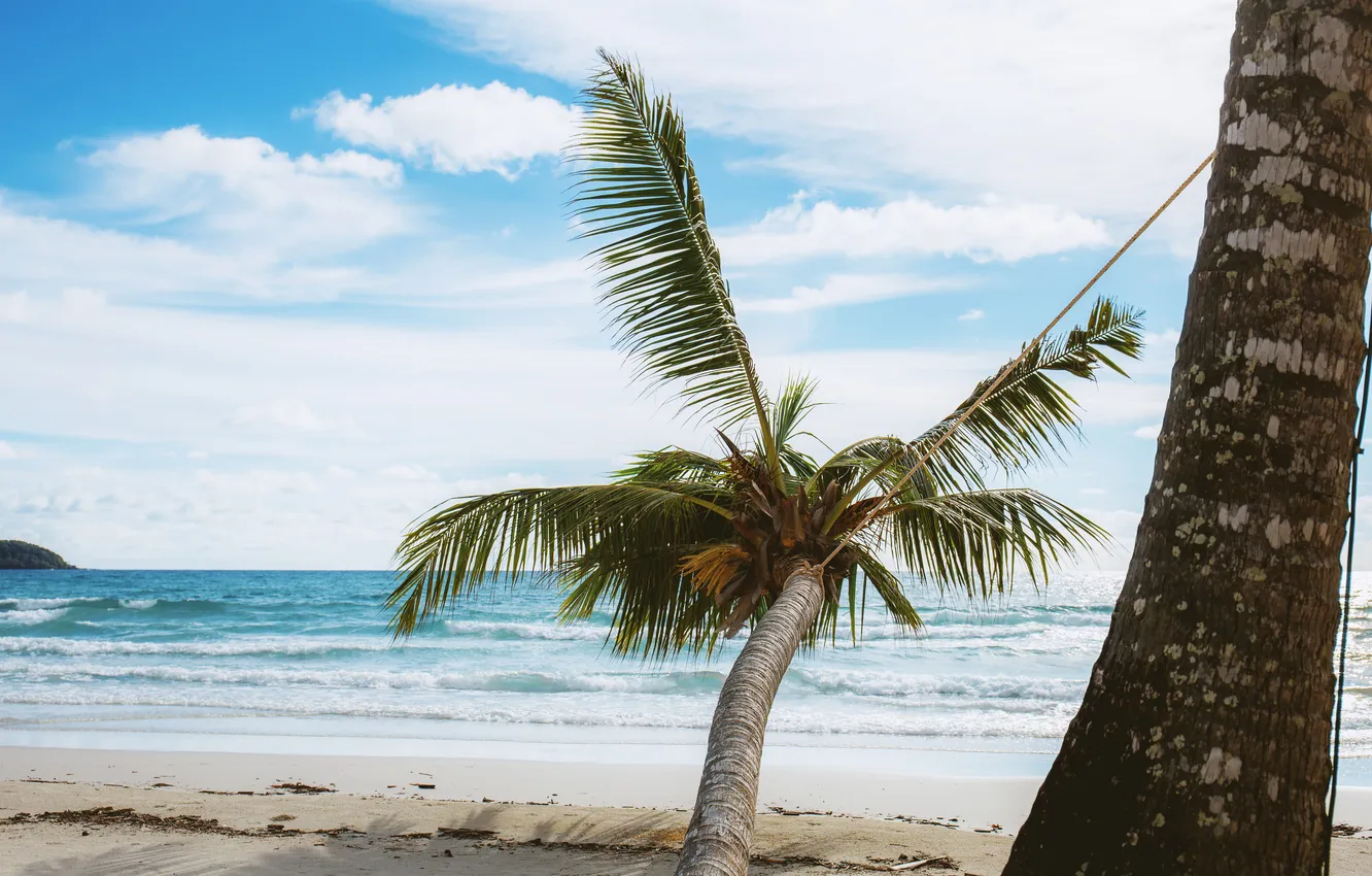 Photo wallpaper sand, sea, beach, summer, the sky, palm trees, summer, beach
