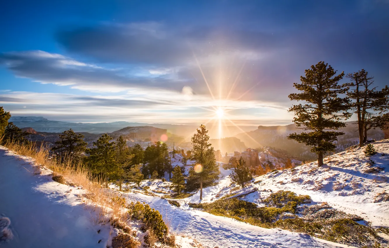 Photo wallpaper winter, the sun, landscape, nature, dawn
