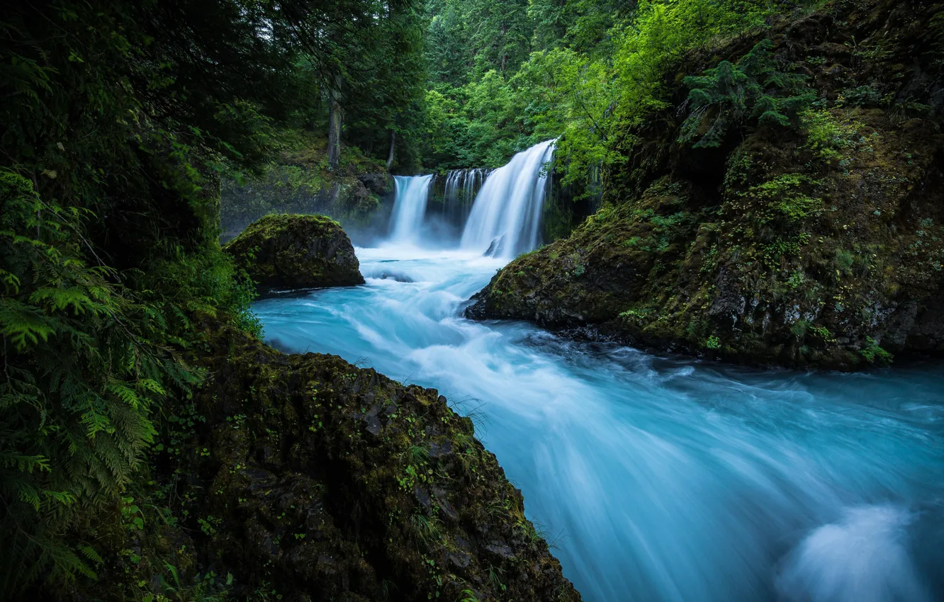Photo wallpaper forest, river, waterfall, moss, Washington, Washington, Columbia River Gorge, Little White Salmon River