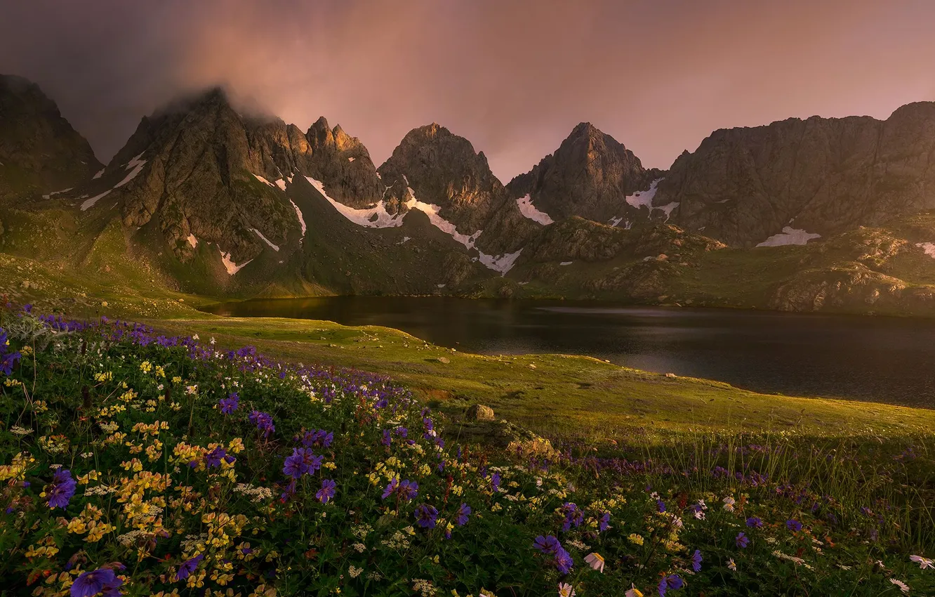 Photo wallpaper flowers, mountains, lake, valley, beautiful landscape, Alexander Dudarev, Lake Tobavarchhili