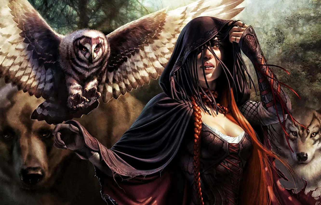 Photo wallpaper forest, look, girl, owl, wolf, bear, corset, cloak