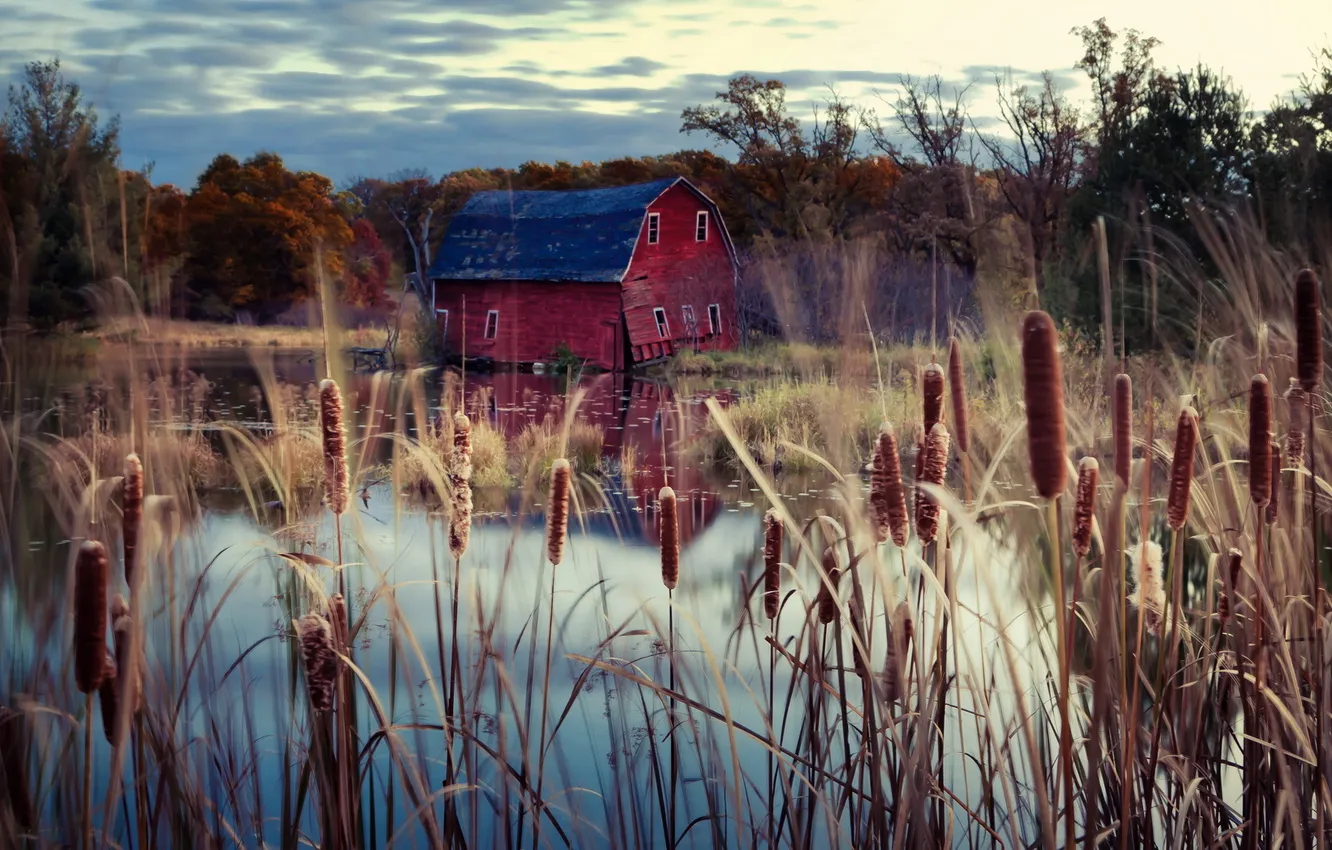 Photo wallpaper landscape, lake, house, reed