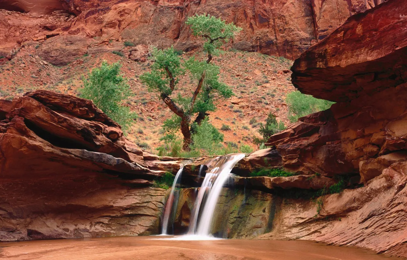 Photo wallpaper trees, stones, rocks, waterfall, canyon