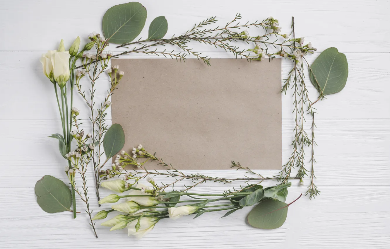 Photo wallpaper greens, leaves, paper, eustoma