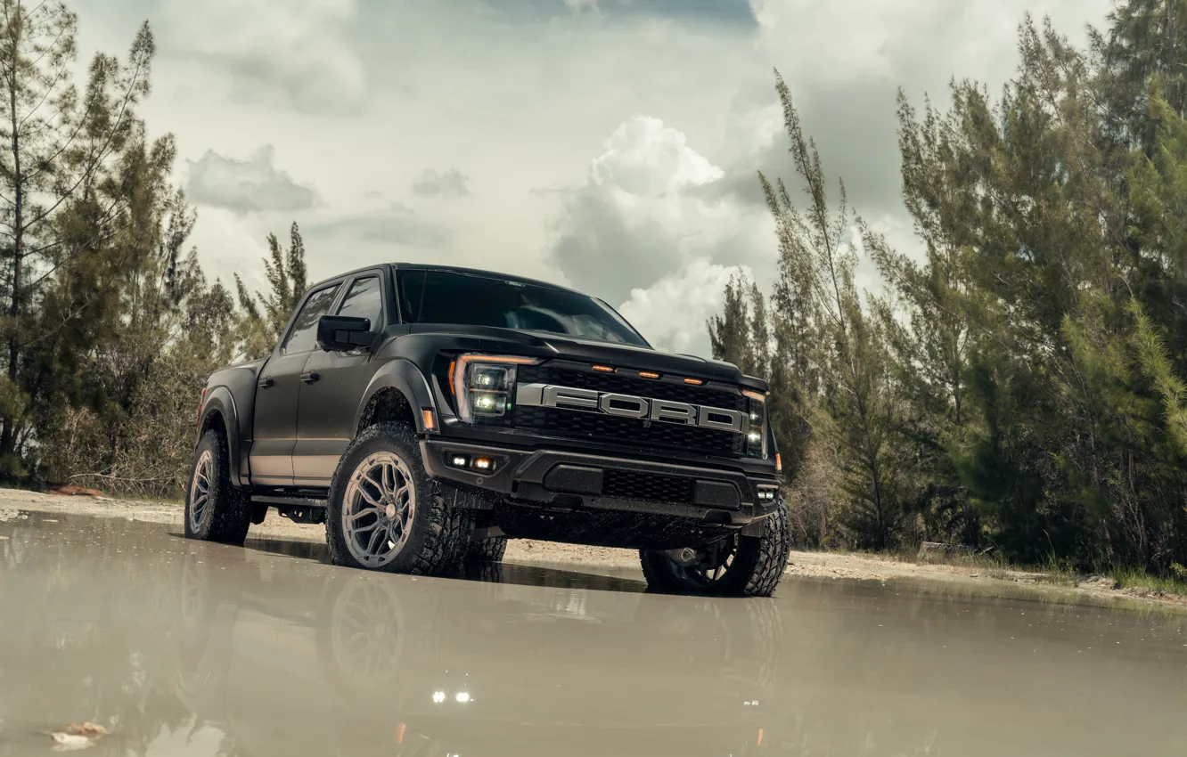 Photo wallpaper Ford, forest, black, water, pickup, Ford F-150