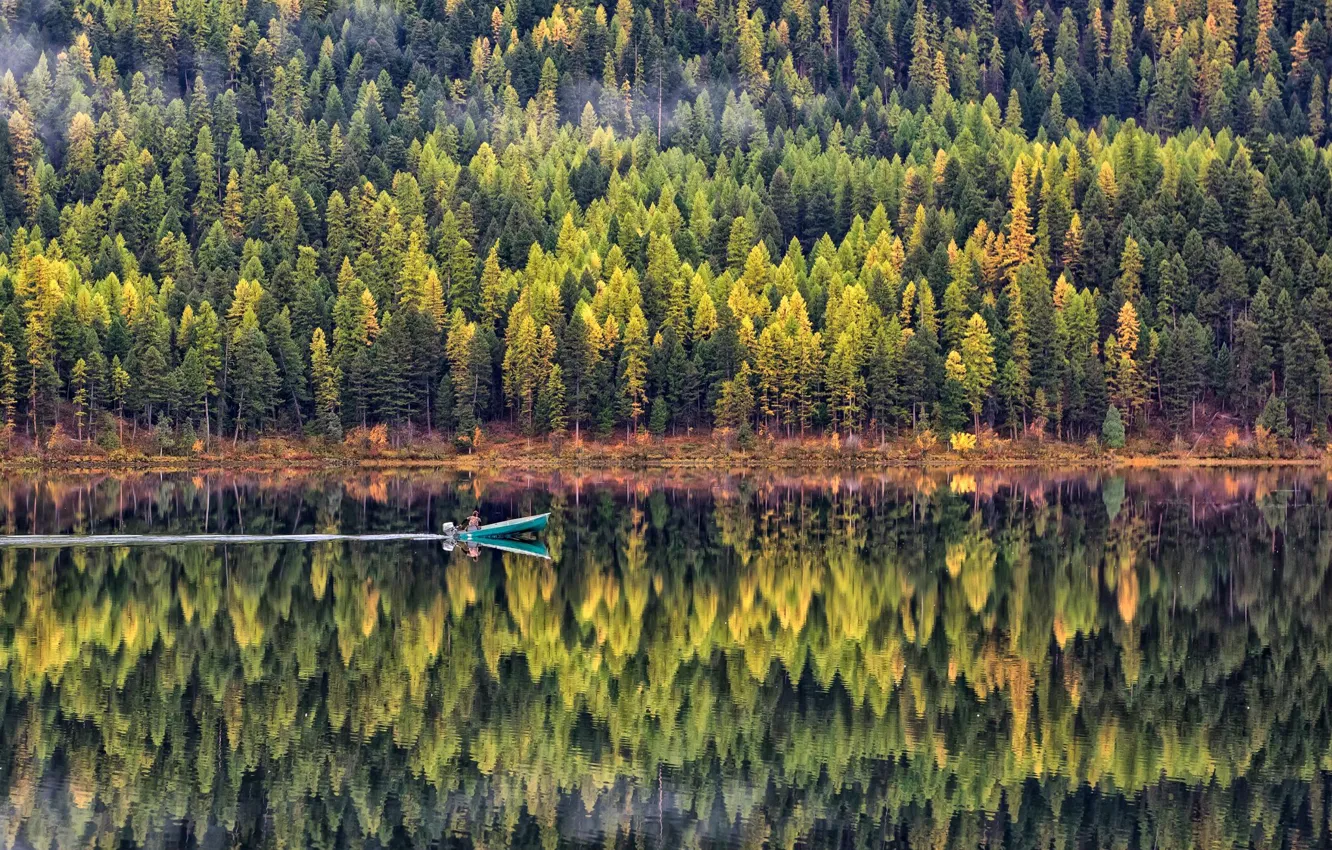Photo wallpaper forest, water, trees, lake, reflection, boat