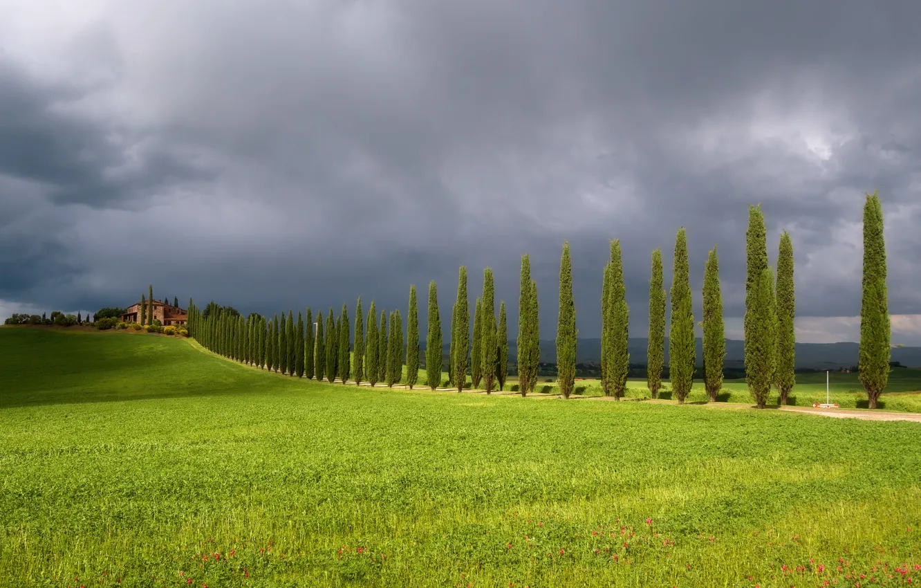 Photo wallpaper road, field, home