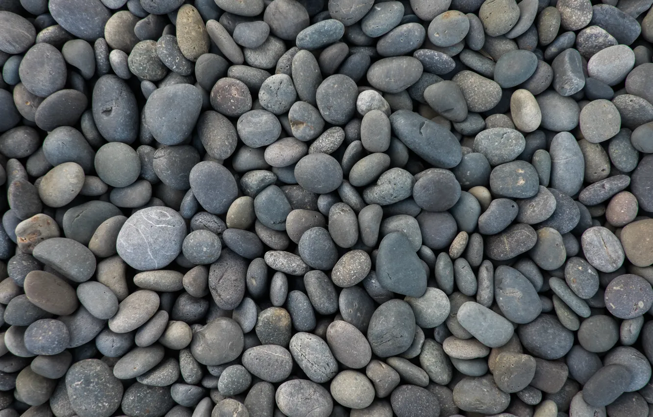 Photo wallpaper pebbles, stones, background, shore, texture, round, placer, grey