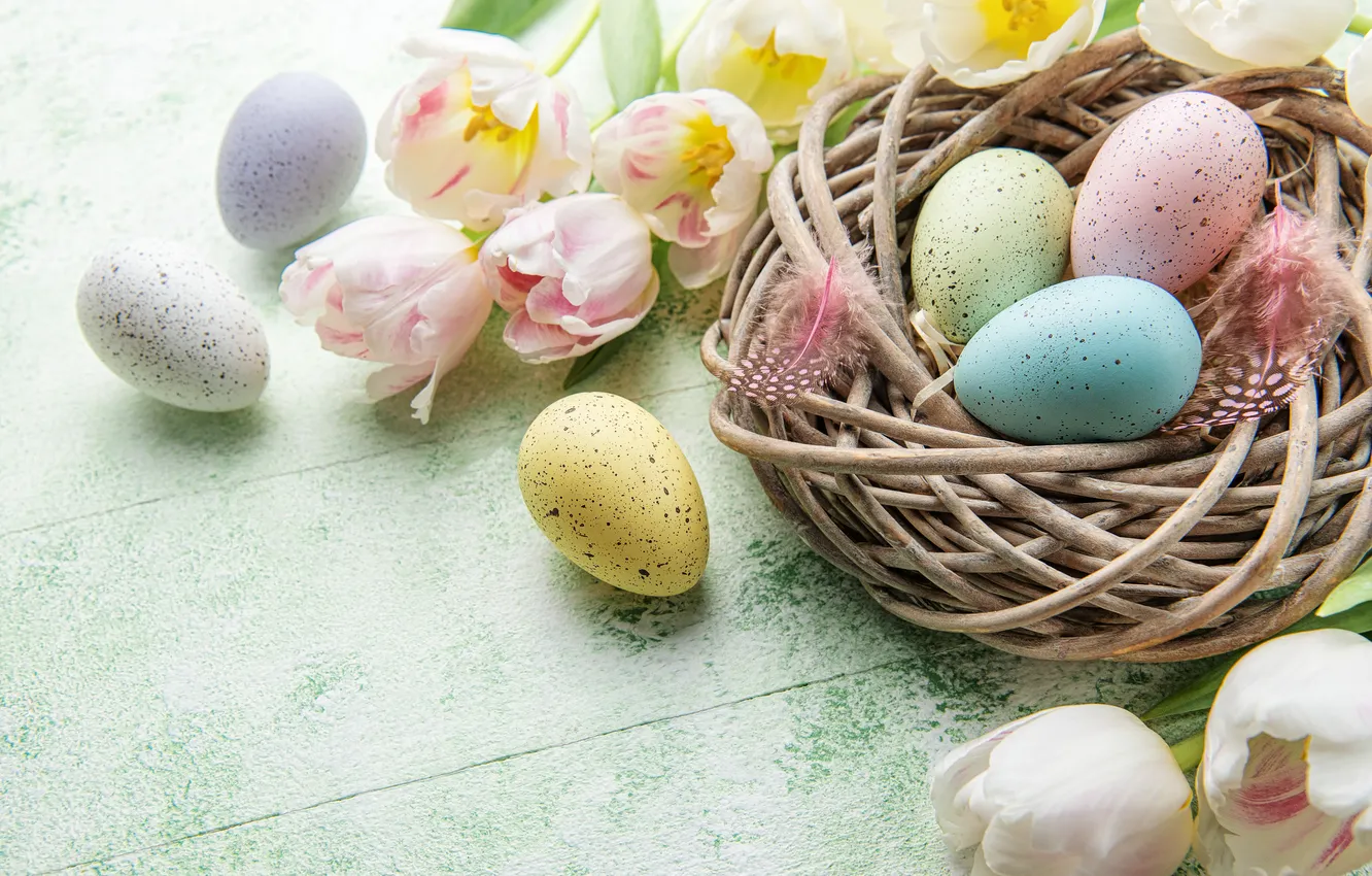 Photo wallpaper flowers, eggs, spring, Easter, flowers, tulips, spring, Easter