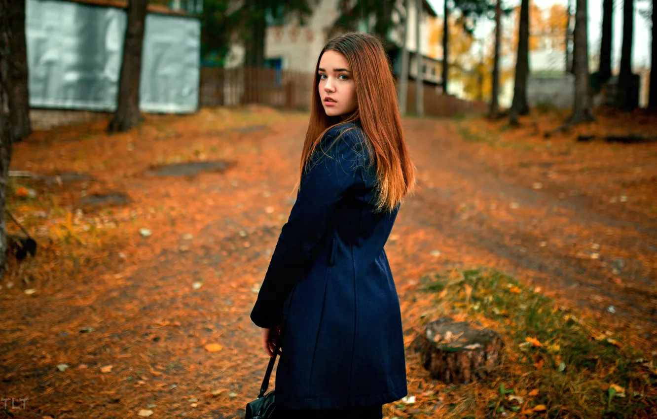 Photo wallpaper autumn, look, leaves, girl, trees, pose, model, stump