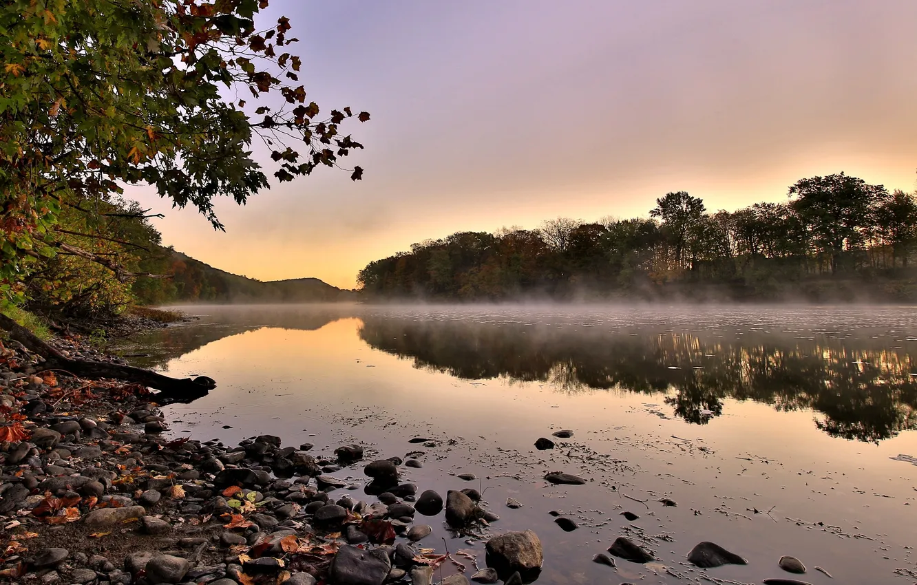 Photo wallpaper water, river, shore, morning, evaporation