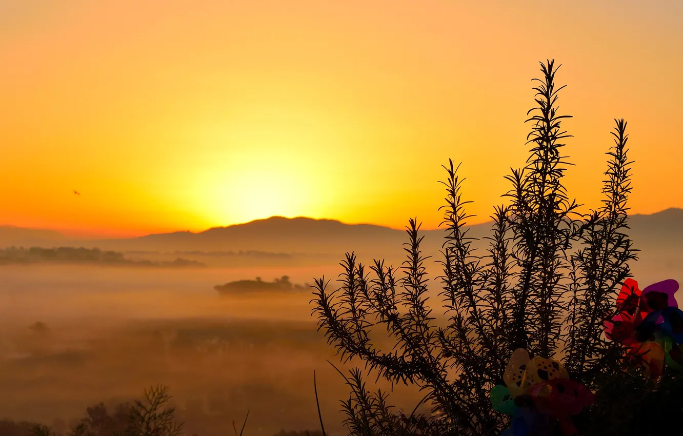 Photo wallpaper grass, sunset, mountains, horizon, silhouette, glow