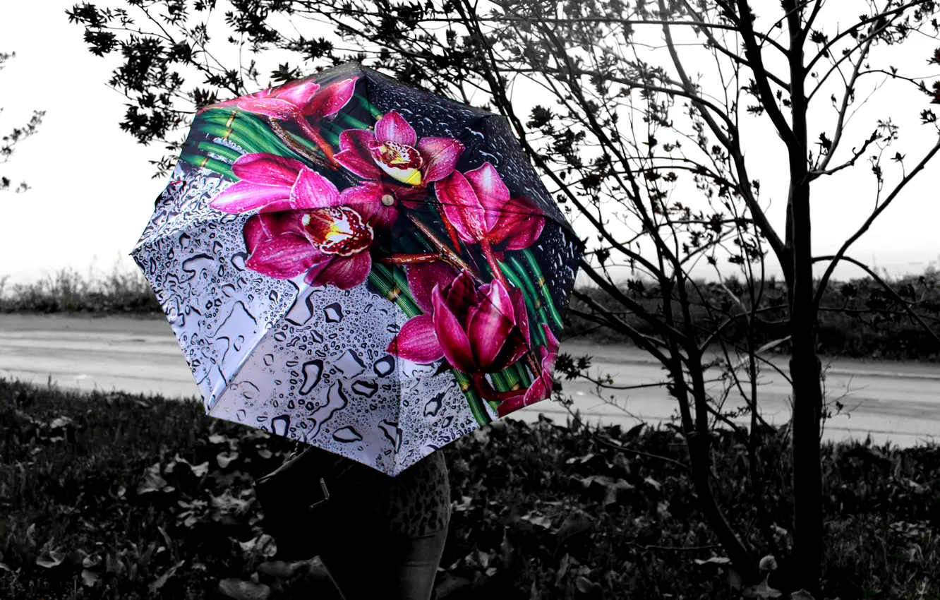 Photo wallpaper girl, rain, umbrella, black and white