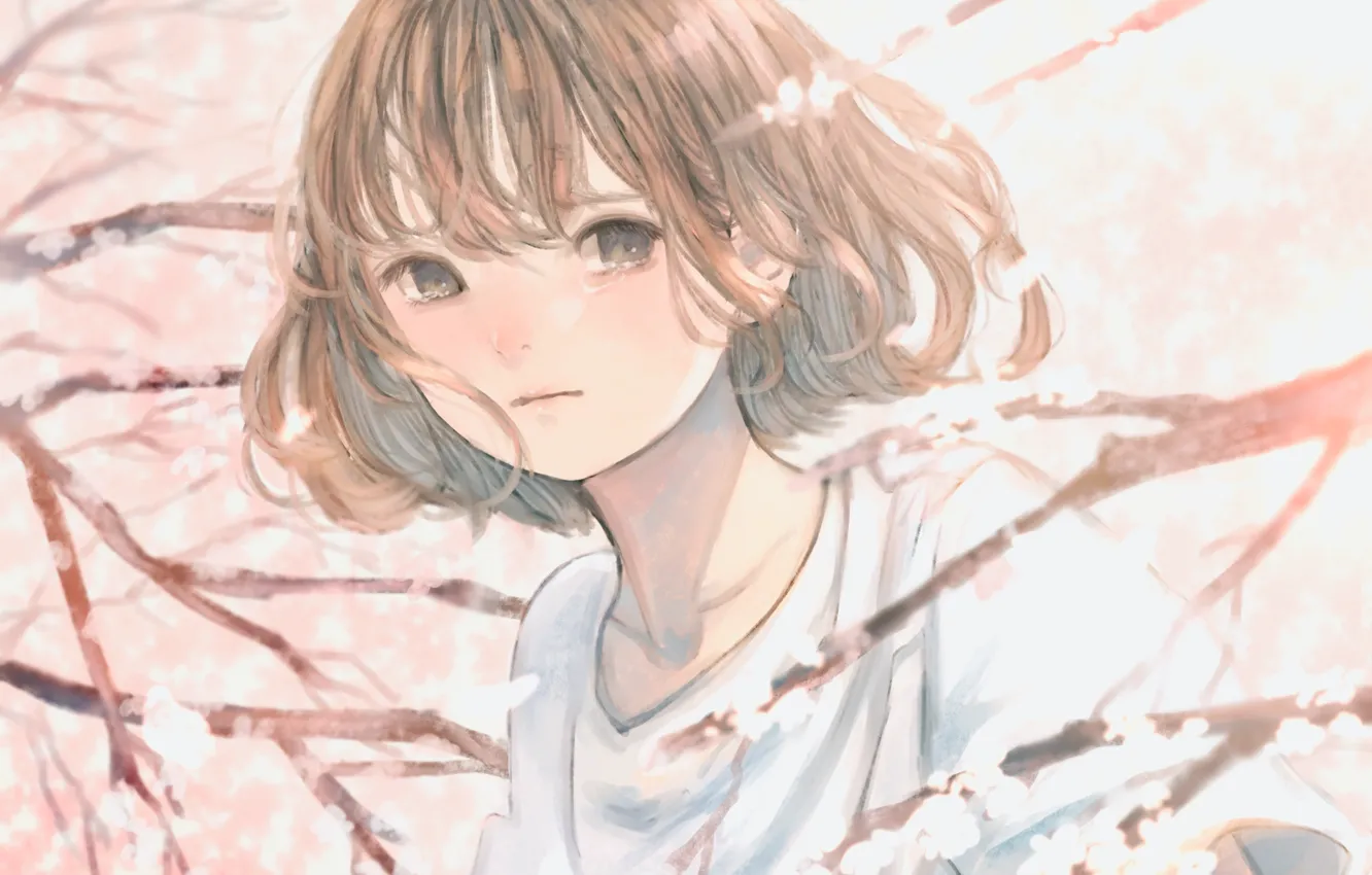 Photo wallpaper spring, Sakura, girl