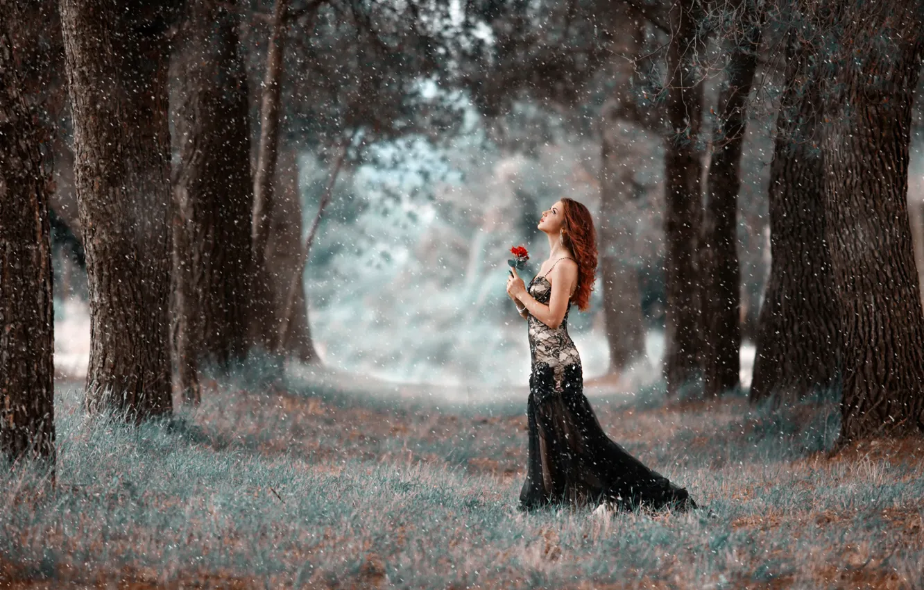 Photo wallpaper forest, trees, roses, redhead