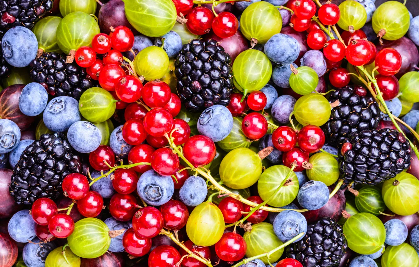 Photo wallpaper berries, blueberries, currants