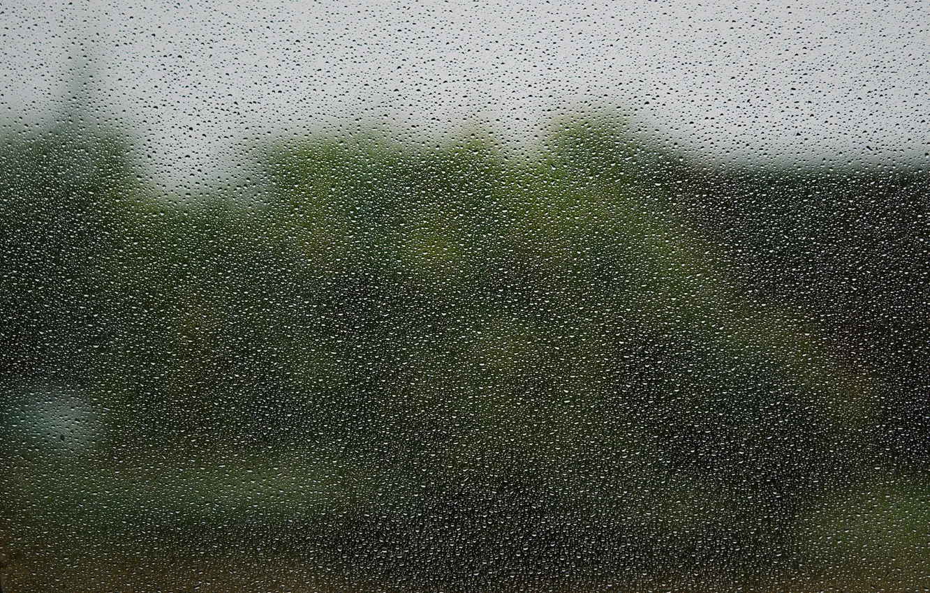 Photo wallpaper drops, trees, clouds, rain, blur, window