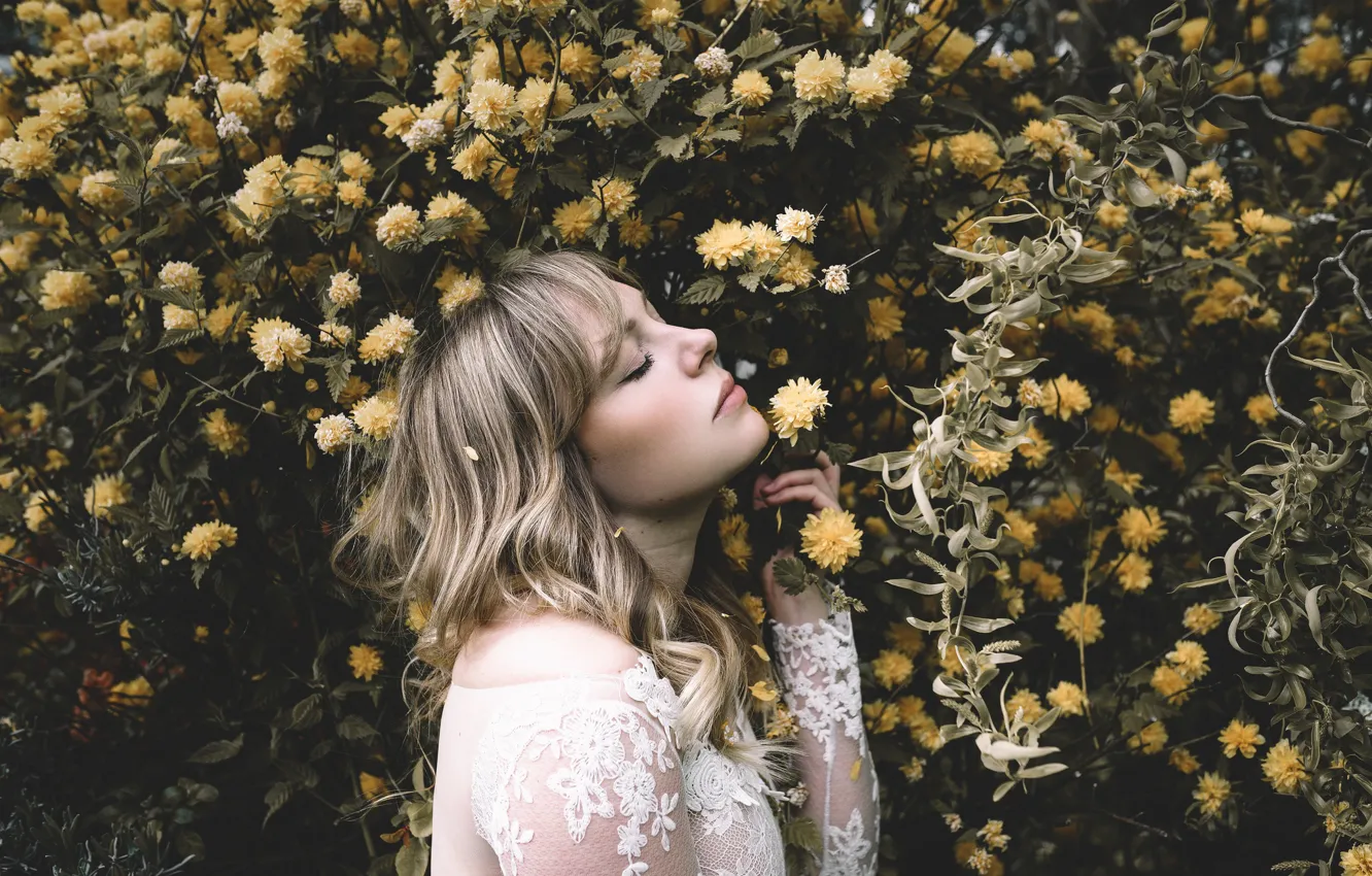 Photo wallpaper flowers, profile, Alexandra Cameron, Yellow spring