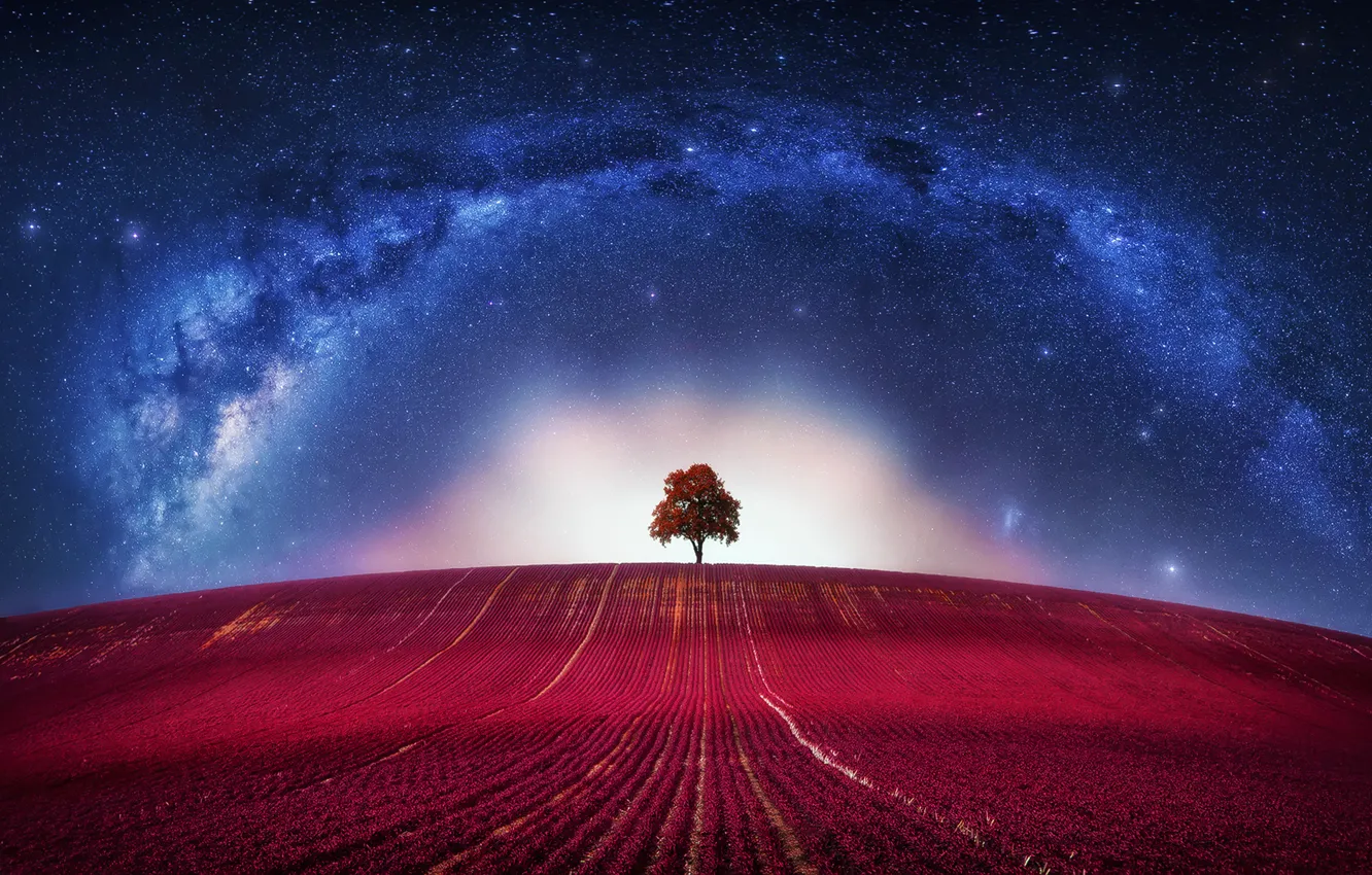 Photo wallpaper fantasy, Avatar, Galaxy, Lone, clouds, tree, way, loneliness