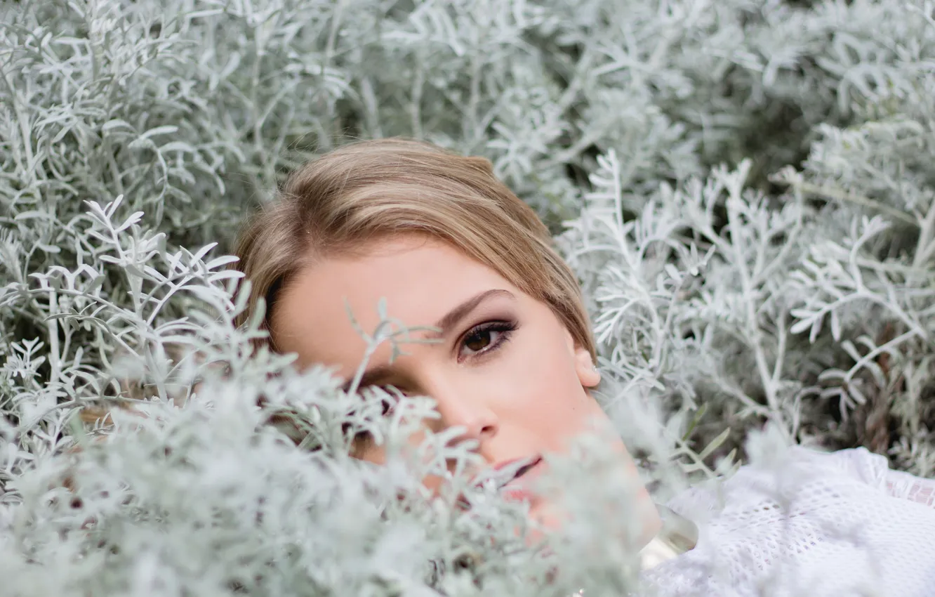 Photo wallpaper look, girl, face