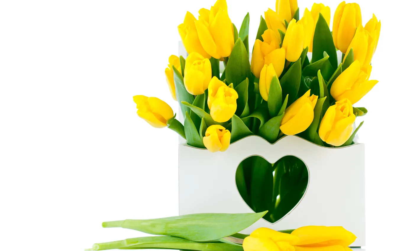 Photo wallpaper flowers, bouquet, tulips, yellow tulips