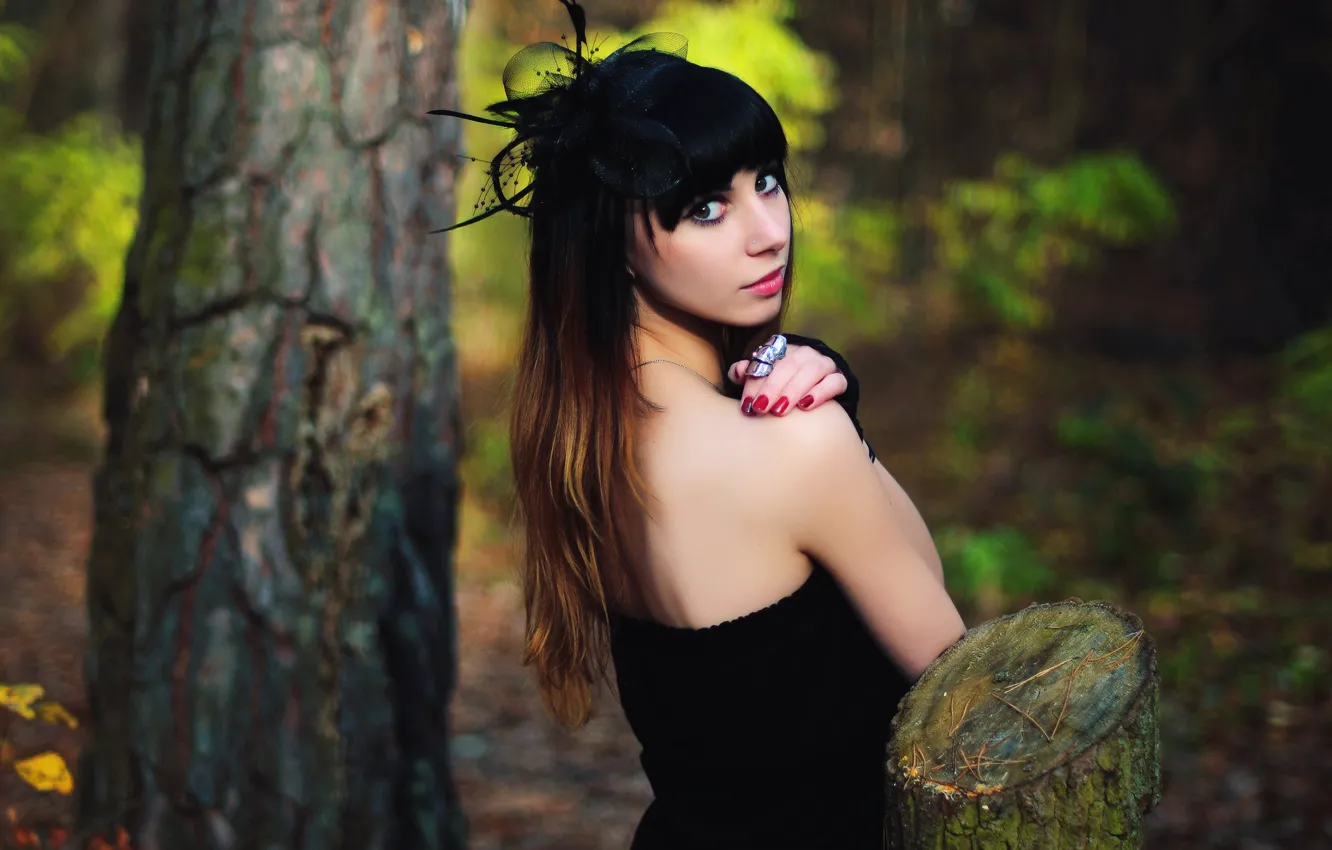 Photo wallpaper forest, look, girl, trees, style, back, stump, portrait