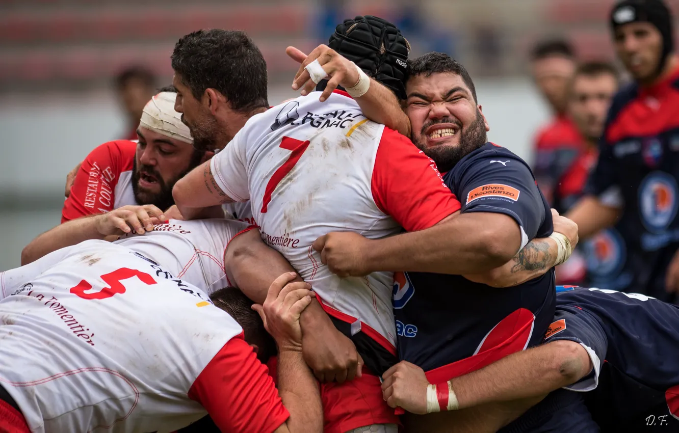 Photo wallpaper power, the game, Rugby