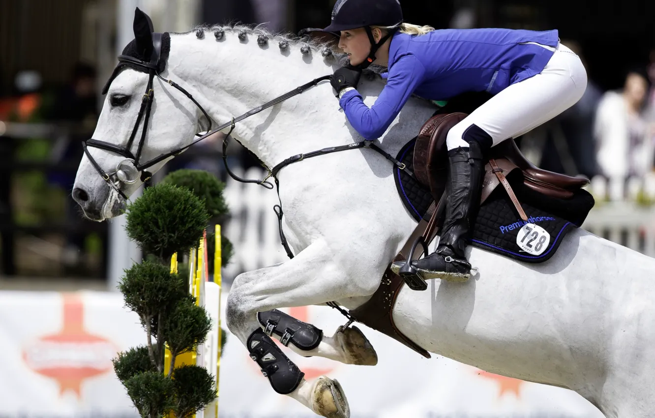 Photo wallpaper rider, horse riding, show jumping