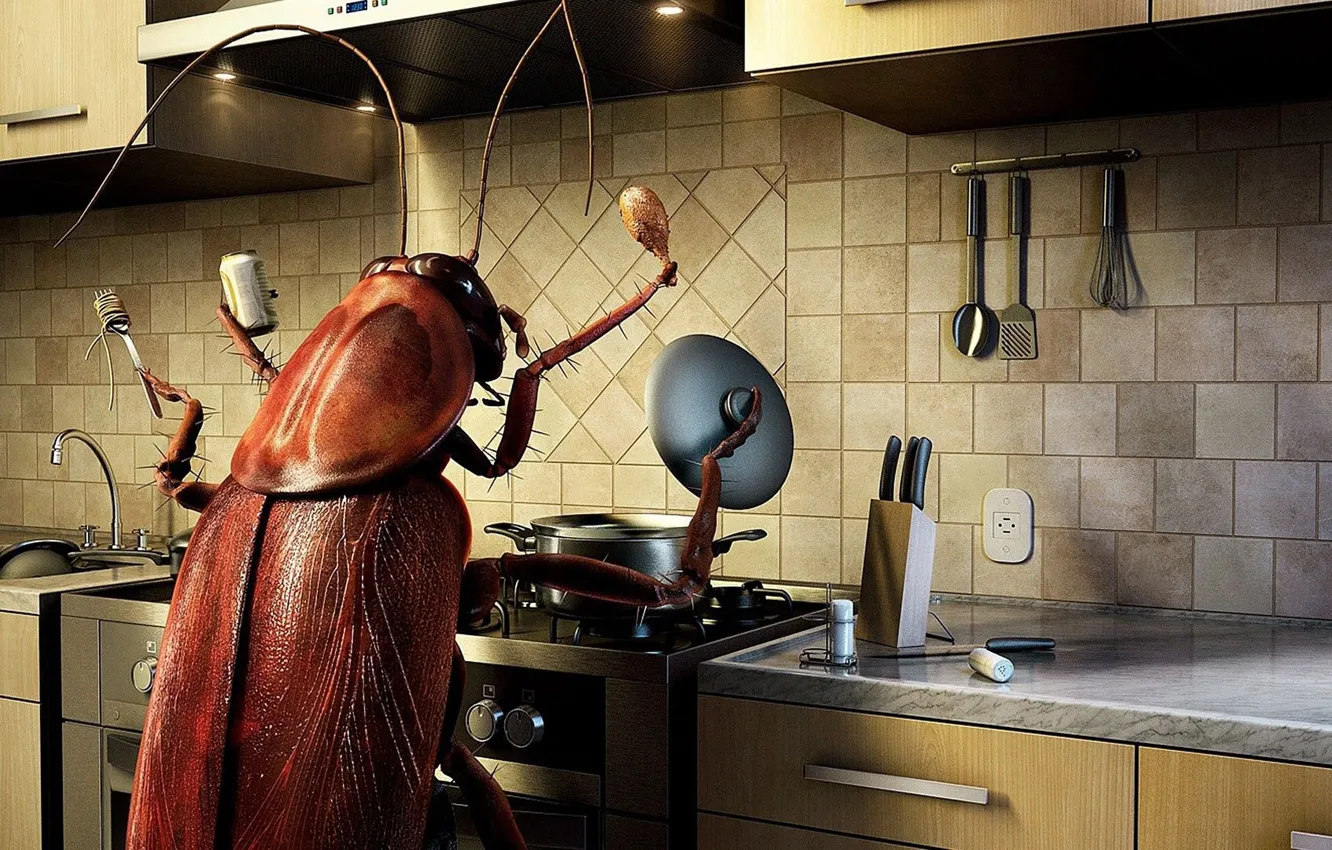 Photo wallpaper cockroach, kitchen, plate, pan, the owner, prepares