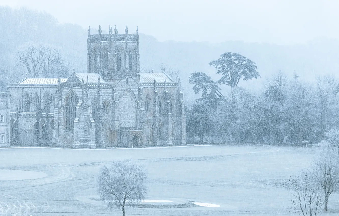 Photo wallpaper winter, field, forest, snow, trees, fog, castle, haze