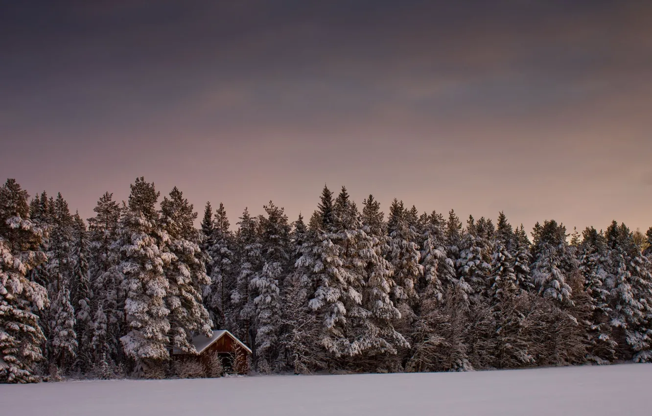 Photo wallpaper forest, snow, trees, house, Winter