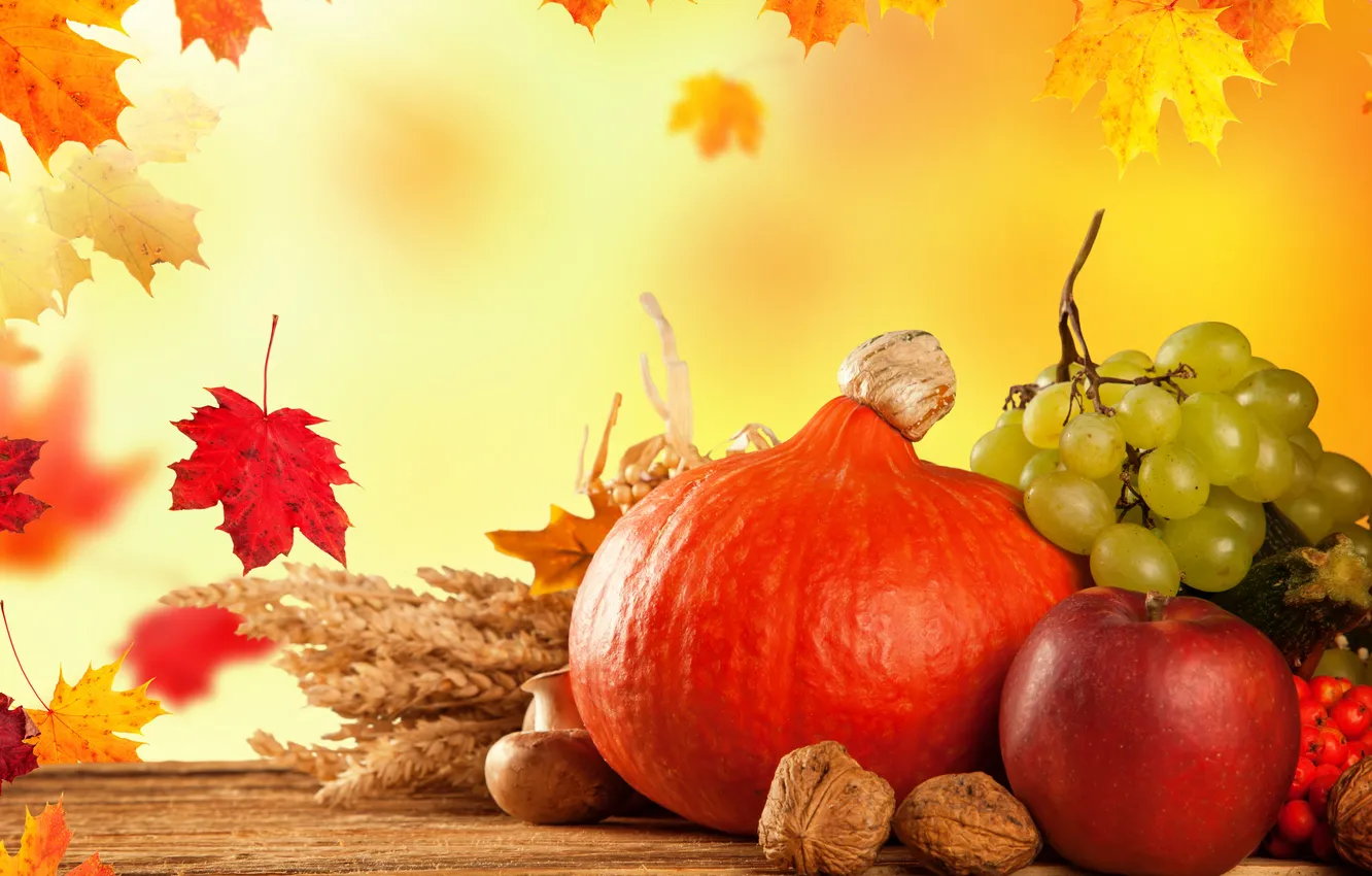 Photo wallpaper autumn, leaves, harvest, grapes, pumpkin, autumn, still life, fruits