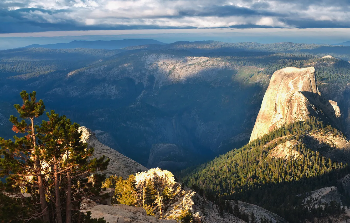 Photo wallpaper forest, trees, rocks, gorge, the view from the top