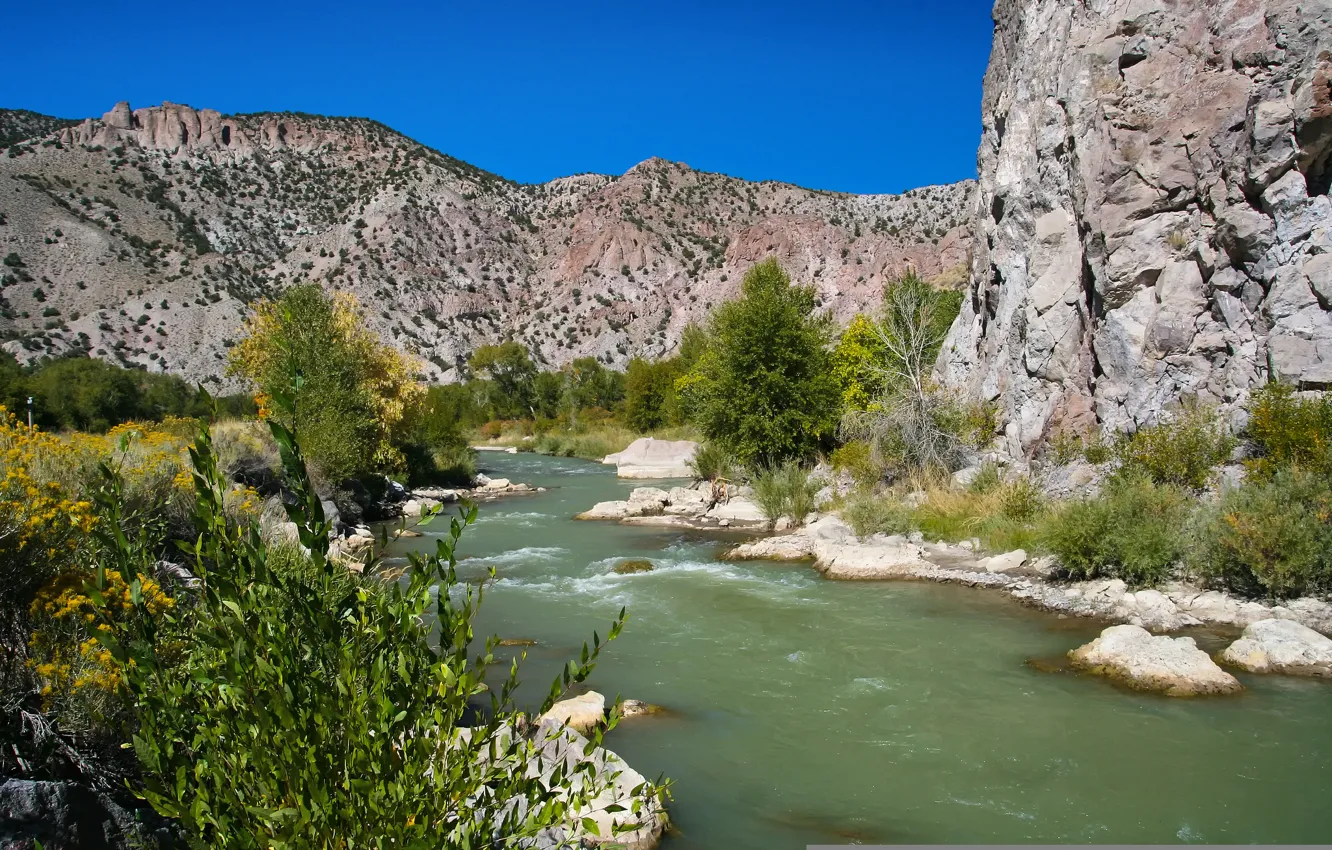 Photo wallpaper trees, mountains, nature, river, the bushes, Bryce Canyon National Park