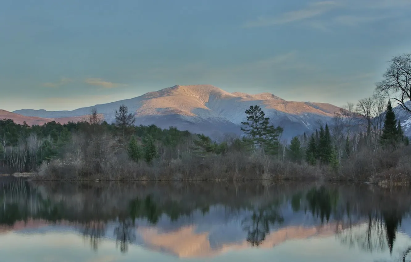 Photo wallpaper forest, mountains, lake, thickets, shore
