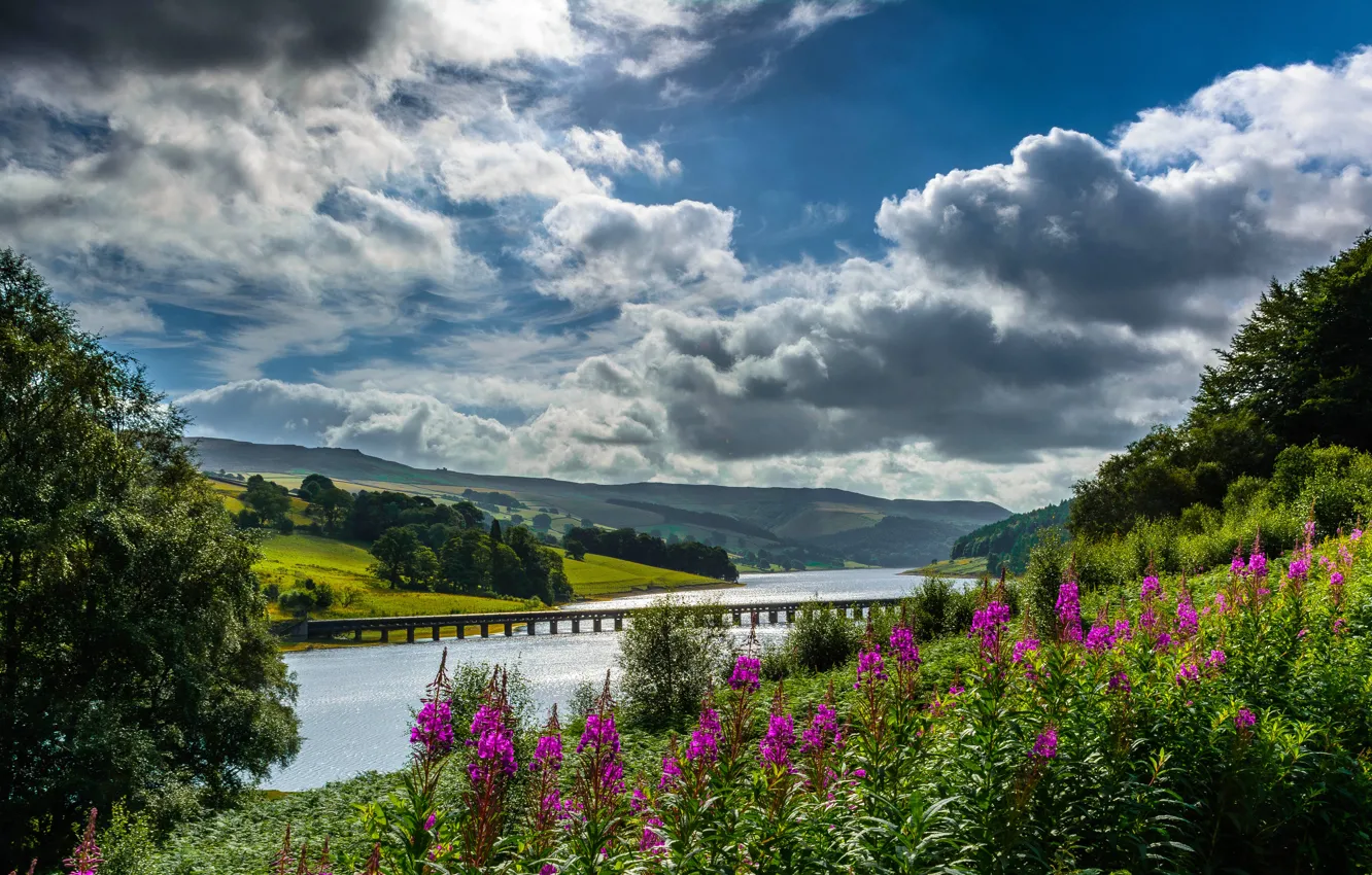 Photo wallpaper clouds, flowers, bridge, England, valley, England, Derbyshire, Derbyshire
