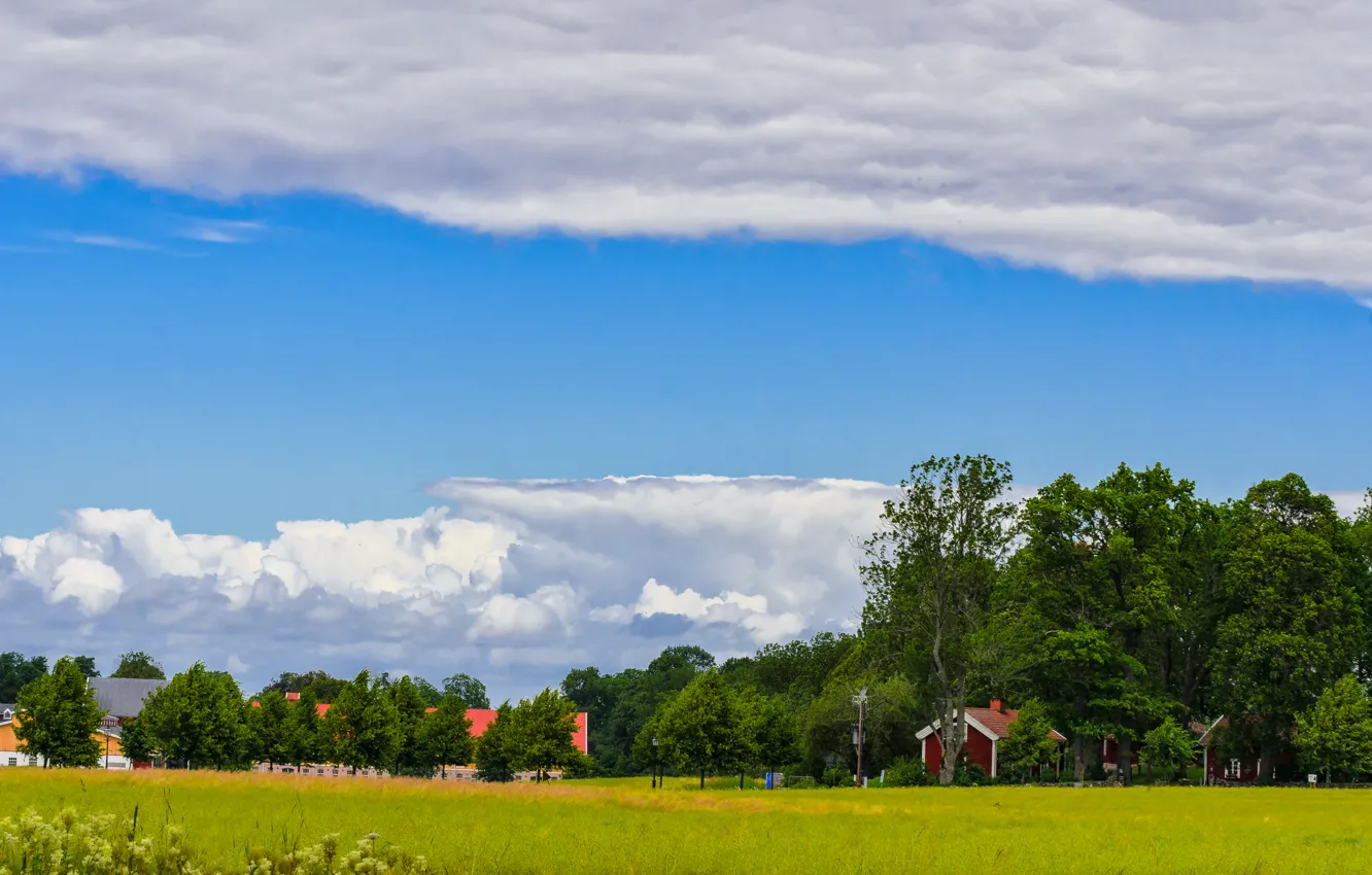 Photo wallpaper greens, field, summer, the sky, clouds, trees, nature, green