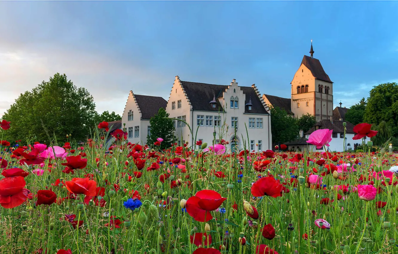 Photo wallpaper flowers, Maki, Germany, meadow, Church, Lake Constance, the island of Reichenau, Munster St. Maria and …