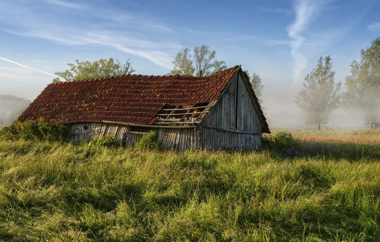 Photo wallpaper field, summer, fog, house