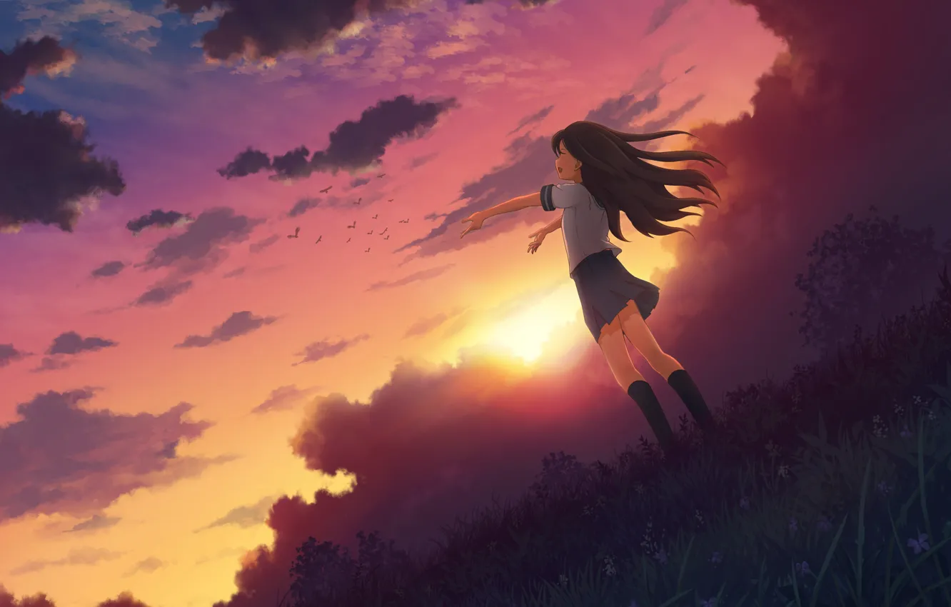 Photo wallpaper the sky, girl, the sun, clouds, joy, sunset, nature, anime