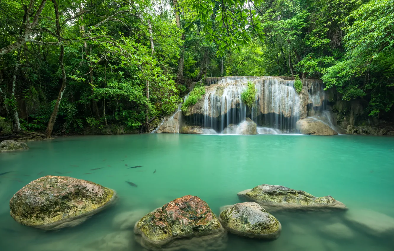 Photo wallpaper forest, landscape, river, rocks, waterfall, Thailand, summer, forest