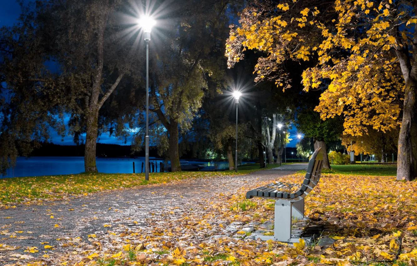 Photo wallpaper foliage, the evening, lights, promenade, bench