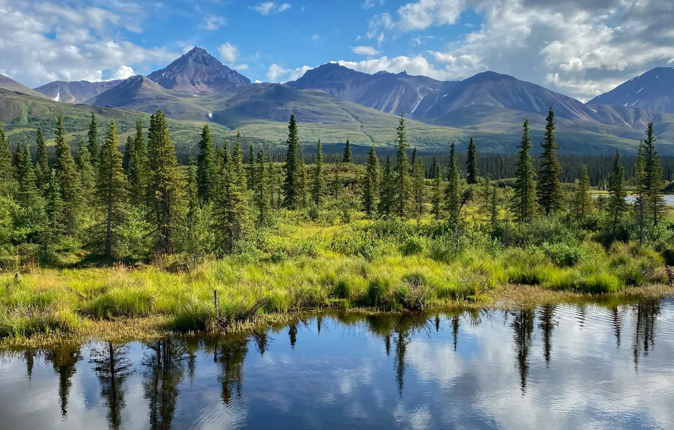 Photo wallpaper trees, mountains, lake, reflection, Alaska, Alaska, Denali National Park, Denali national Park